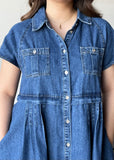 Denim Button Down Shirt Mini Dress